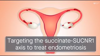 Extracellular succinate drives adhesion and implantation of stromal cells in endometriosis [upl. by Minnnie]