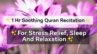 Soothing Quran Recitation for Sleep Relaxation amp Stress  1 Hour Beautiful Quran Recitation [upl. by Omrellug]