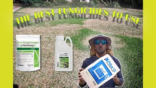 The Best Fungicide For Your Grass StAugustine  Zoysia  Bermuda  Centipede  Bahia grasses [upl. by Yr772]