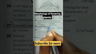 Morphology of flowering plants NEET mcq question❓ practice neet aiims biology motivation [upl. by Noevad]