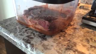 Quick video shows you how to Marinate meat with a Vacuum Sealer [upl. by Eberta]