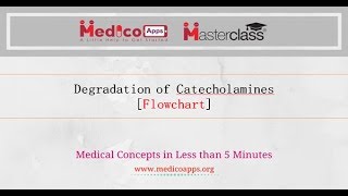 DEGRADATION OF CATECHOLAMINES [upl. by Phelgon207]