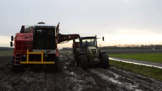 Agrifac Exxact OptiTraxx bietenrooier en overlaadwagen [upl. by Ylim619]