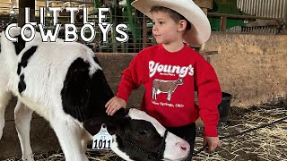 Little Cowboys Get to know Their NEW cows KIDS ON FARMCATTLETRACTOR STORETOYSANIMALSLEARNING [upl. by Melloney]