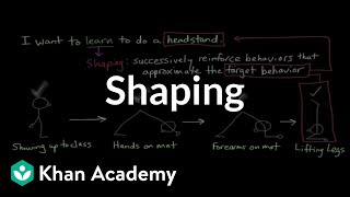 Operant conditioning Shaping  Behavior  MCAT  Khan Academy [upl. by Ulrich]