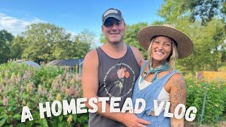 A Homestead Vlog  Day In The Life [upl. by Ahsinac17]