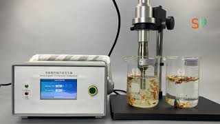 Ultrasonic sonicator for extraction [upl. by Wivina989]