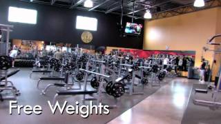 Golds Gym Houston  Magnolia Tour [upl. by Artep]