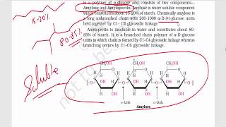 Biomolecules Part 3  Disaccharides amp Polysaccharides  Sucrose Maltose Lactose Starch [upl. by Lalaj]