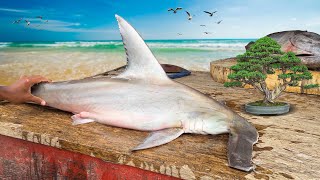 Fabulous Cutting Hammerhead SHARK with Giant Bull SHARK by Experienced Fish Cutters [upl. by Drofkcor]