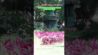 Beautiful Gardens At The Bangalore Botanical Garden Called Lalbagh Bangalore India [upl. by Nima375]