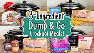 6 DUMP amp GO CROCKPOT DINNERS  The BEST Quick amp EASY 3INGREDIENT Slow Cooker Meals  Julia Pacheco [upl. by Ettelliw]