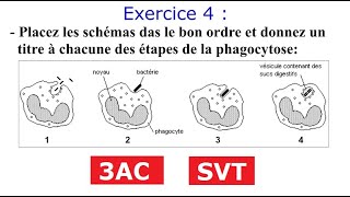 Immunité exercices corrigés partie1 [upl. by Nadabas]