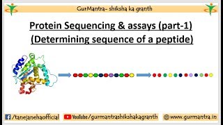 PROTEIN SEQUENCING amp ASSAYS  N amp C TERMINAL AMINO ACID ANALYSIS  PART1 [upl. by Nywg670]