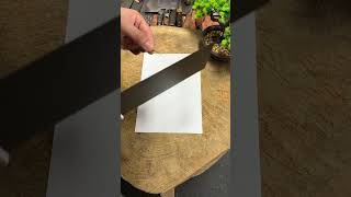 Extremely sharp good knife recommendation slicing knife [upl. by Bobbi]