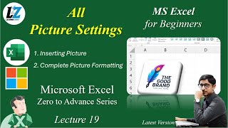 19 Complete Picture Settings in MS Excel  Free Course for Beginners in Urdu Hindi excel teacher [upl. by Oiratnom379]