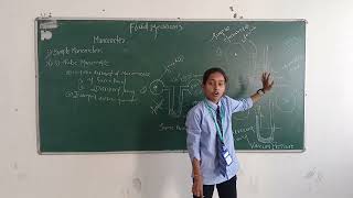 Fluid Mechanics Manometer by Ankita Padole Student of Civil Engineering TGPCET [upl. by Atenaz]