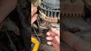 Do this when servicing a Kohler Courage Single Cylinder smallenginerepaircubcadet [upl. by Tammy]