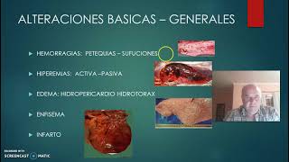 Patología General y Anatomía Patológica WEBINARIO TORAX 2021 [upl. by Orferd]