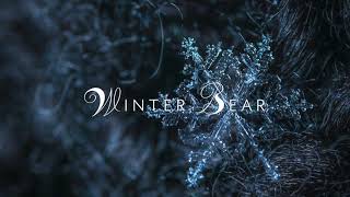 quotWinter Bearquot by V  Orchestral Cover [upl. by Waldos146]