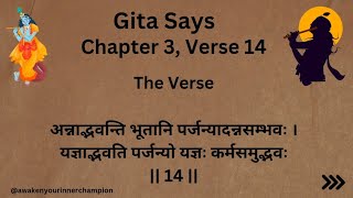 Bhagavad Gita Chapter 3 Verse 14  Gita Says geetakagyan gitasandesh bhagavadgitaquotes krishna [upl. by Grath704]