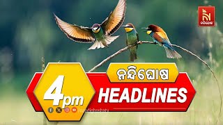 Headlines 4PM  14th November 2024  Nandighosha TV [upl. by Ahsimrac828]