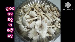 ଶ୍ରାବଣ କଢ଼ ଛତୁ ଭଜାPradipti food recipesShravan ChhatuNadi Chhatu Village Style Mushroom Odia [upl. by Garrot226]