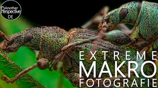 Extreme Makrofotografie Meistern mit diesen Tipps Laowa 60mm auf APSC [upl. by Uriia439]