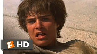 Romeo and Juliet 69 Movie CLIP  Romeo Kills Tybalt 1968 HD [upl. by Mandelbaum]