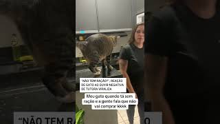 quotNão tem raçãoquot reação de gato ao ouvir negativa de tutor viraliza shorts [upl. by Cohdwell]