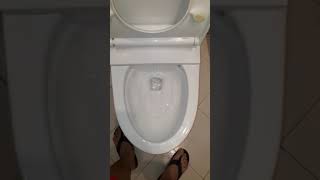 9 Vietnam toilet 🇻🇳 2019 Toto Ultramax II toilet with an Ecowasher bidet seat [upl. by Oneladgam]