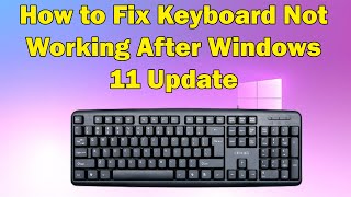 Solving Keyboard Problems After Updating to Windows 11 [upl. by Colver]