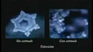 Los secretos del agua Masaru Emoto [upl. by Katusha385]