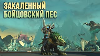 Закаленный бойцовский пес BattleBound Warhound WOW Shadowlands [upl. by Lucky]