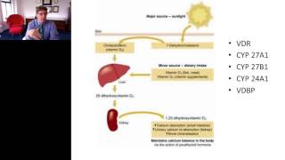 Gregory Plotnikoff  The Clinical Utility of 125 Dihydroxyvitamin D [upl. by Rebma910]