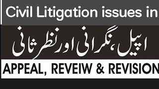 Civil Litigation issues in AppealReviews And Revision in CPC [upl. by Kerr]