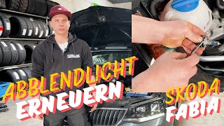 Skoda Fabia Abblendlicht wechseln Lampe vorne erneuern [upl. by Enerahs]