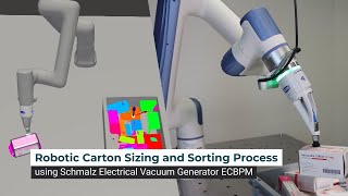 Robotic Carton Sizing and Sorting Process using Schmalz Electrical Vacuum Generator ECBPM [upl. by Blancha]