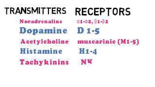 What are Neurotransmitters and their receptors [upl. by Langelo]