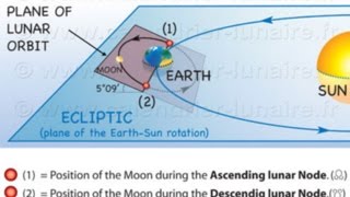 Learn Grade 3  Maths  Ascending and descending Order [upl. by Maurey]