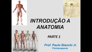 Introdução a Anatomia Humana  Parte 1 [upl. by Jourdan]