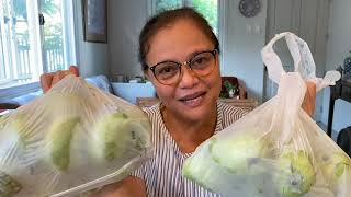 QUICK AND EASY Recipe of Burong Mangga [upl. by Chip]