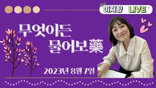 라이브 처방전 30 2023년 8월 7일 무엇이든 물어보약藥 [upl. by Hairacaz]