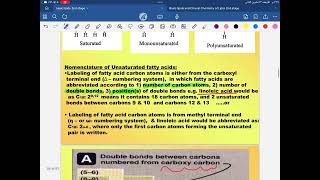 Biochemistry Lipid Metabolism second year part 4 [upl. by Noitsirhc]