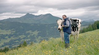 EXPO Bulle 2022 Ausstellerportrait Gobeli Holstein Saanen [upl. by Mccomb]