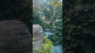 Gaylord Palms Orlando [upl. by Radec]