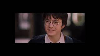 Daniel Radcliffe and Emma Watson  Harry Potter  Italian dubbed [upl. by Jilleen]