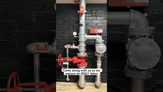 Come along with us as we replace an OSampY Valve firesafety fireprotection repair [upl. by Assilav]