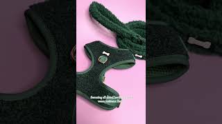 Emerald City teddy fleece dog harness the perfect winter dog accessory [upl. by Schaeffer]