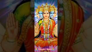 Gayatri Mantra 🔥 Chanting Gayatri Mantra 🙏 Gayatri Mata 🌺 Gayatri Maa Status ♥️ [upl. by Blaine]